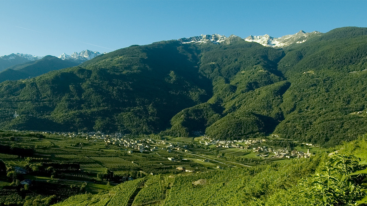 gal valtellina valle dei sapori